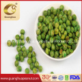 Factory Price Roasted Green Pea with Crispy Taste